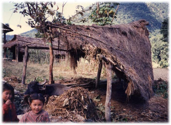 In India, there are more than 150 million people without proper homes