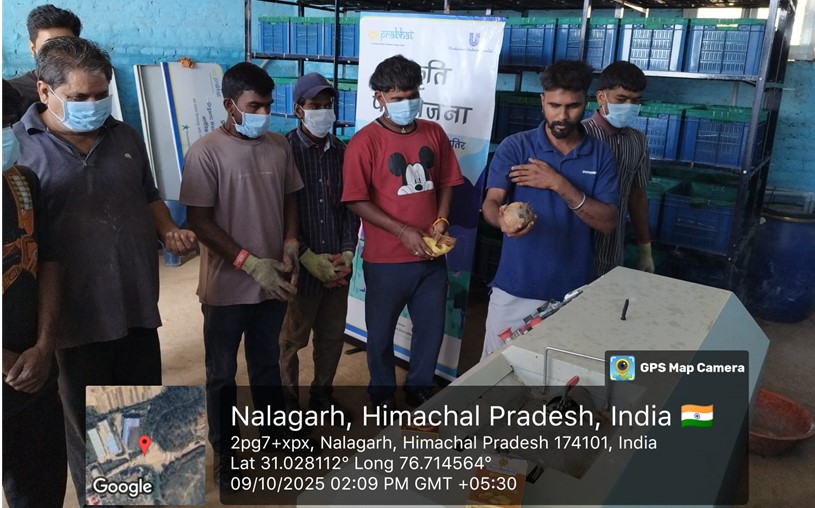 Solar Mini-Grid Launch