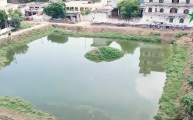 Our Pond, Our Introduction | Pond Rejuvenation Journey
